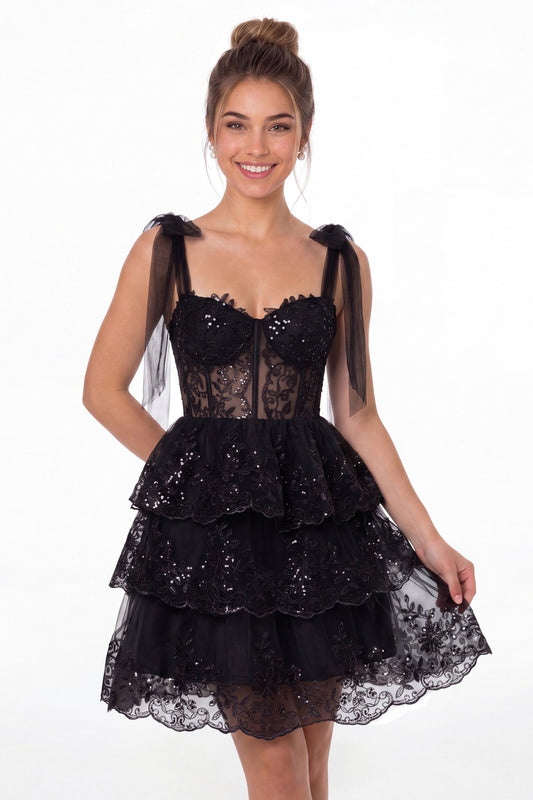 Black Lace Tulle Tiered Mini Dress - Front View
