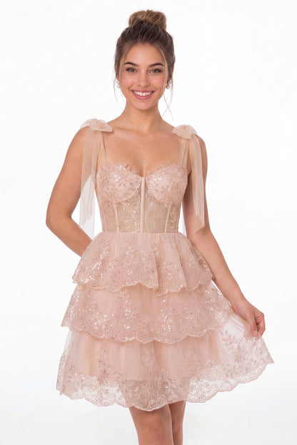 Blush Pink Lace Tulle Tiered Mini Dress - Front View