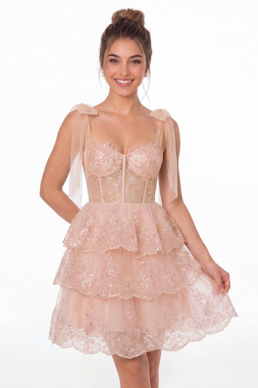 Blush Pink Tiered Bow Tulle Lace Mini Homecoming Dress - Front View