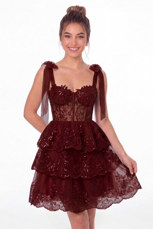 Burgundy Lace Tulle Tiered Mini Dress - Front View