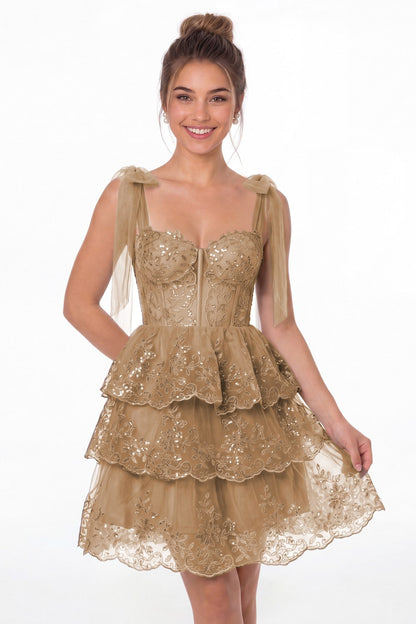 Taupe Lace Tulle Tiered Mini Dress - Front View