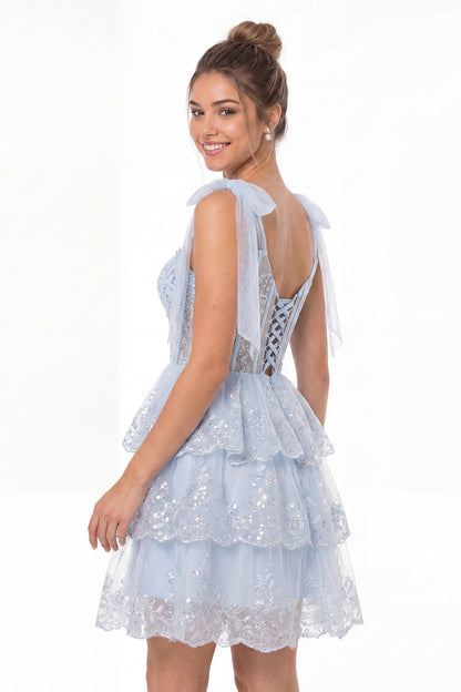 Lace Tulle Tiered Mini Dress - Detail View 3