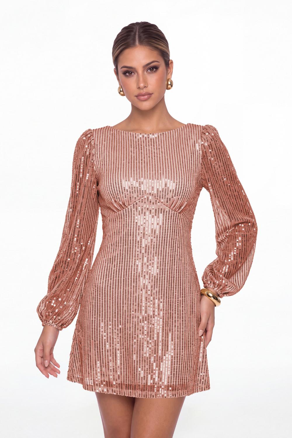 Dusty Rose Scoop Neck Long Sleeve Sequin Mini Dress - Front View